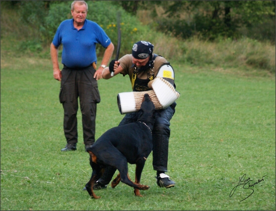 Summer training camp - Jelenec - 2007